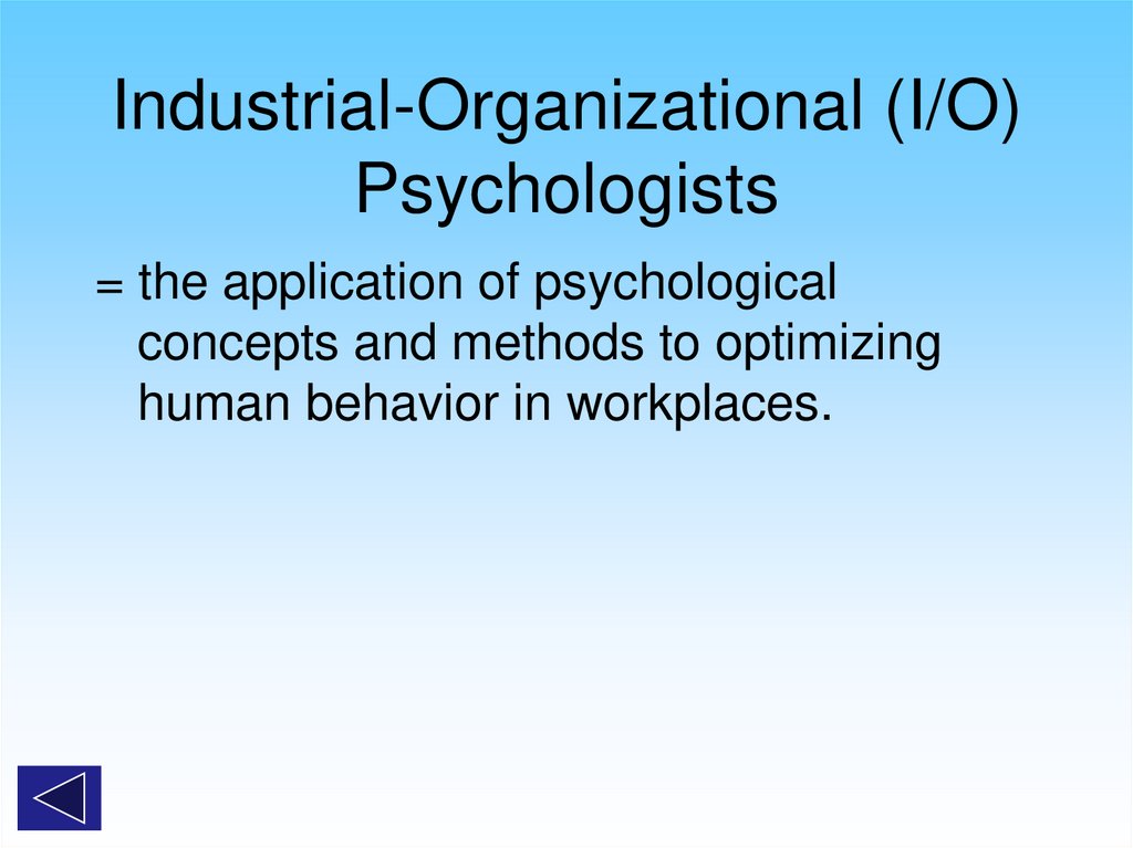 Industrial-Organizational (I/O) Psychologists