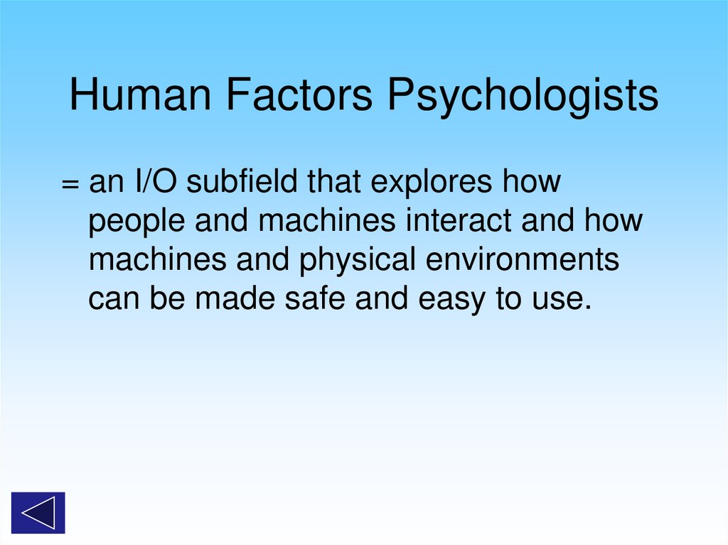 Human Factors Psychologists