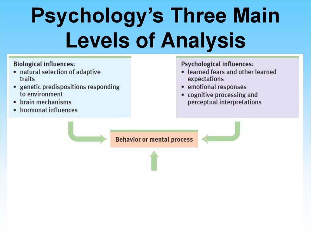 Psychology’s Three Main Levels of Analysis