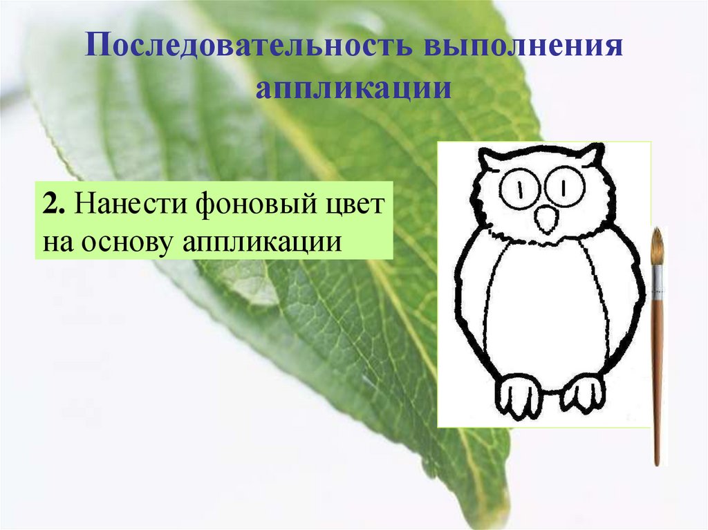 Последовательность выполнения изделия в технике аппликации. Последовательность выполнения аппликации. Порядок выполнения аппликации из листьев. Каков порядок выполнения аппликации из листьев. Каков порядок выполнения аппликации из листьев 2.
