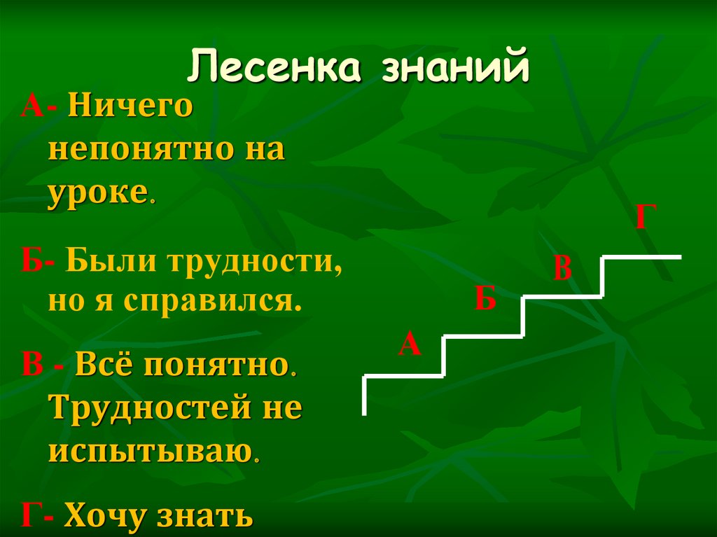 Лестница знаний. Лестница знаний по норту. Лесенка знаний в начальной школе. Лесенка познания. Лестница норта.
