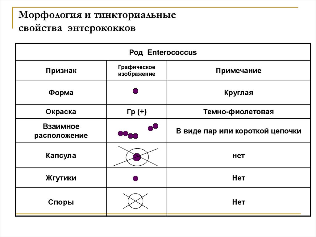 Морфология образцов это