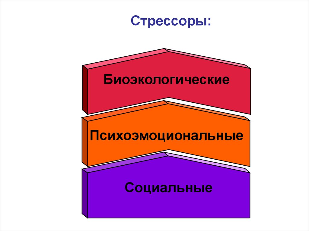 Основные методы биоэкологических исследований