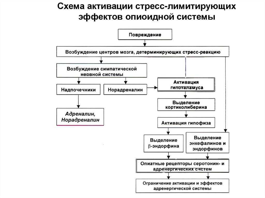 Схема стресс реализующей системы