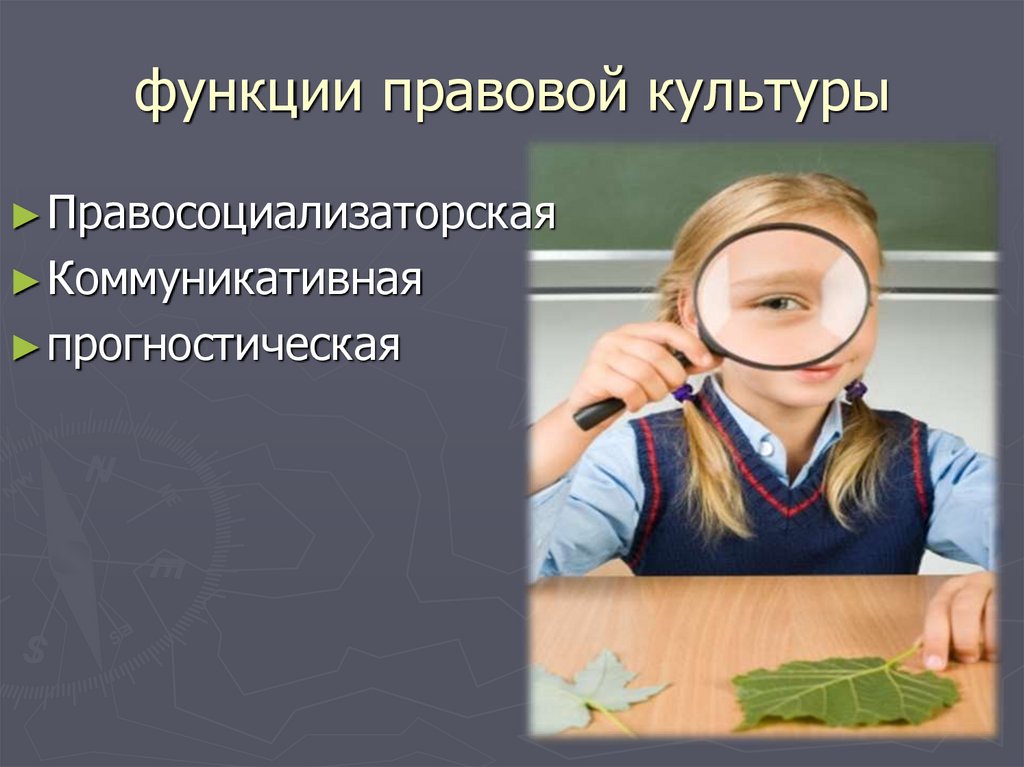 функции правовой культуры