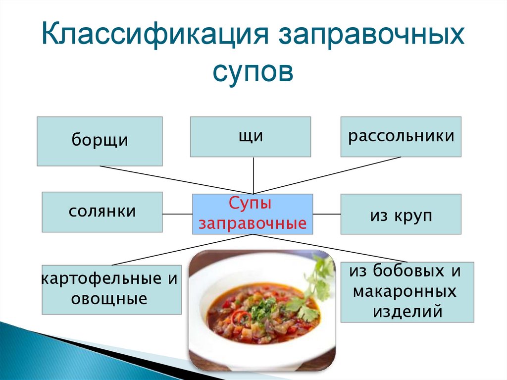 Классификация супов. Технология производства продукции общественного питания - курс лекций