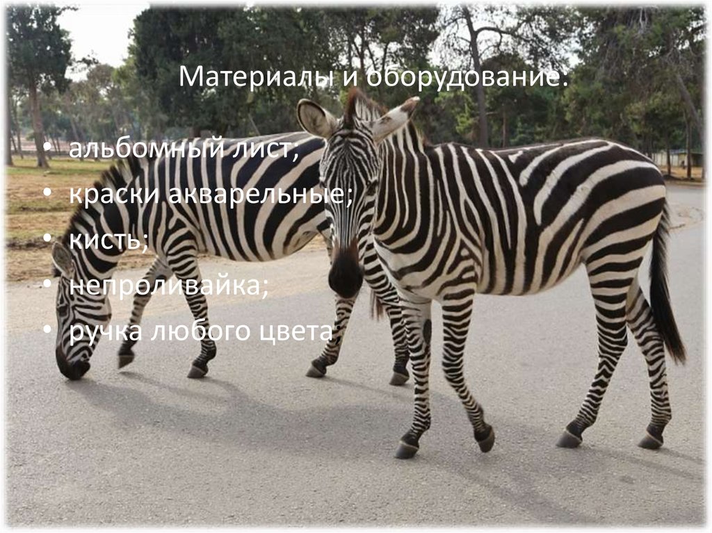 Материалы и оборудование: