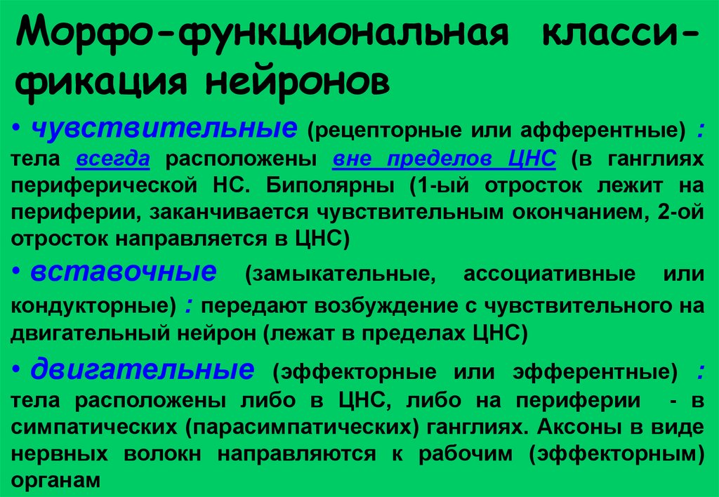 История неврологии презентация