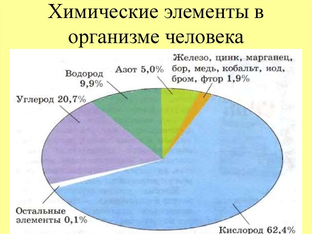 Элементы входящие