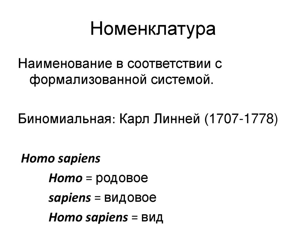 Номенклатура