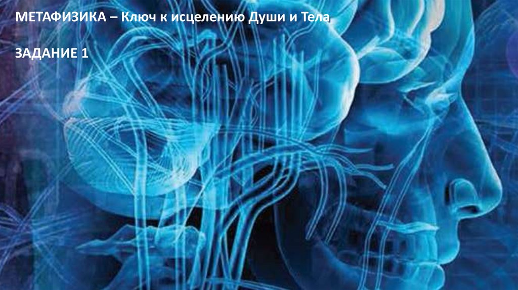 Метафизика - online presentation