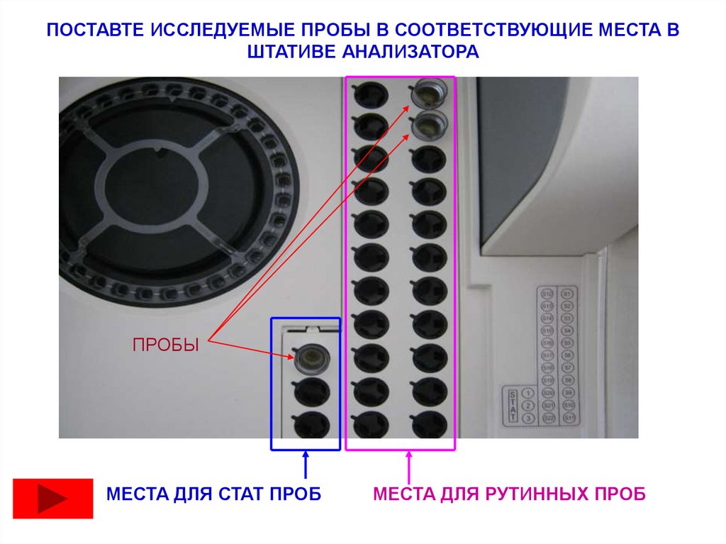 ПОСТАВТЕ ИССЛЕДУЕМЫЕ ПРОБЫ В СООТВЕТСТВУЮЩИЕ МЕСТА В ШТАТИВЕ АНАЛИЗАТОРА