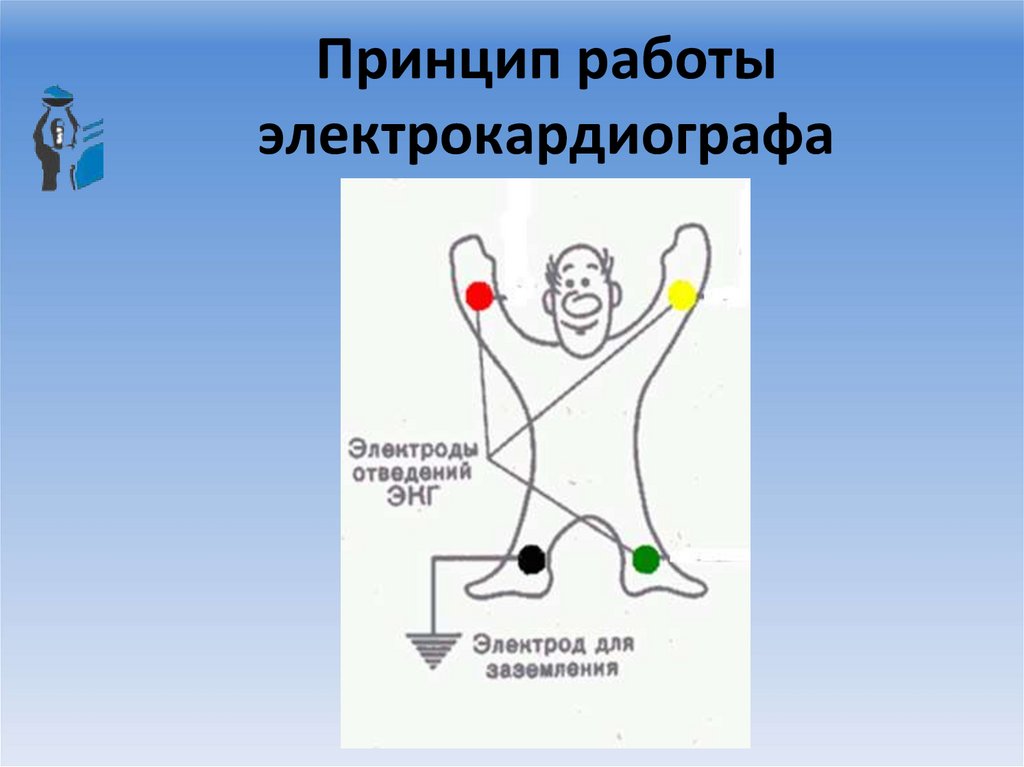 Принцип работы электрокардиографа