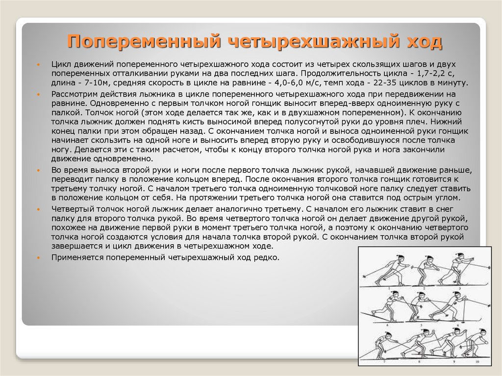 Цикл движений. Попеременный четырехшажный ход цикл. Цикл попеременного четырехшажного хода состоит из. Попеременное движения хода рук. Попеременно четырехшажный ход фазы.