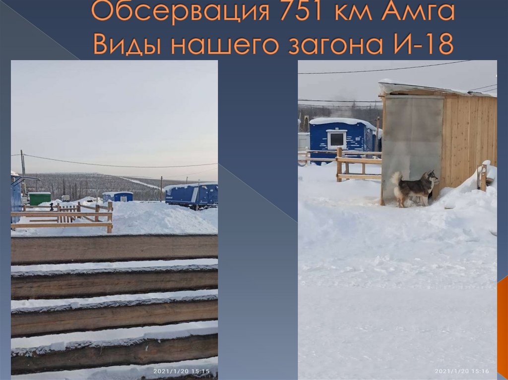 Обсервация 751 км Амга Виды нашего загона И-18