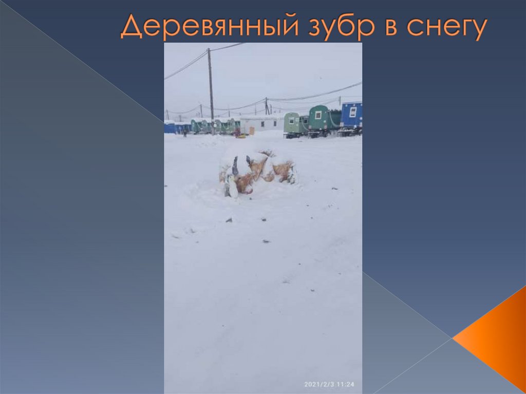 Деревянный зубр в снегу