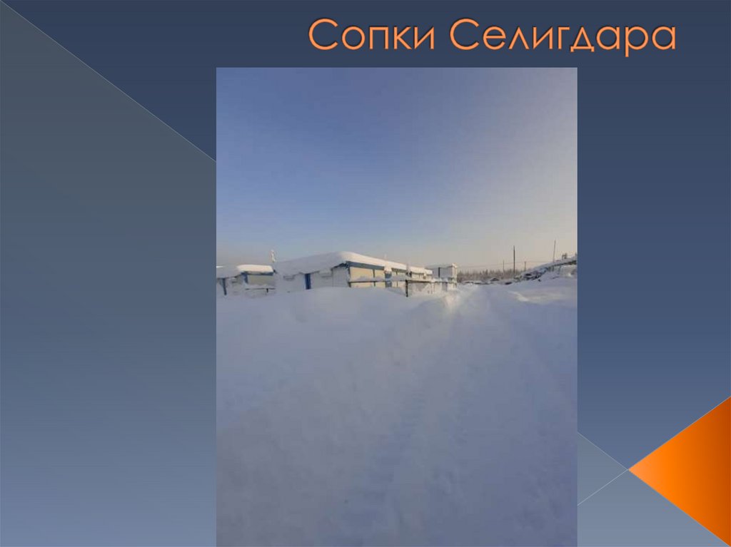 Сопки Селигдара