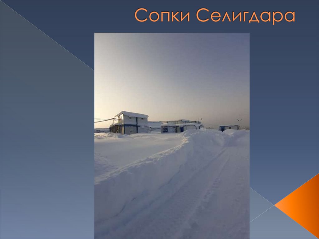 Сопки Селигдара