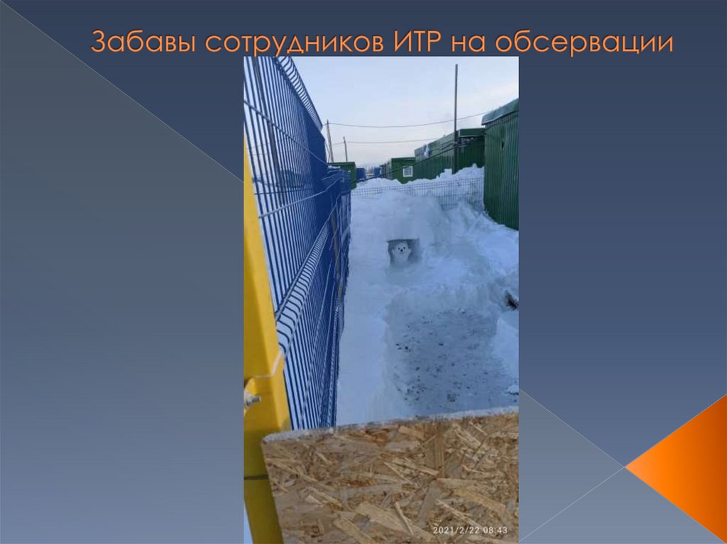 Забавы сотрудников ИТР на обсервации