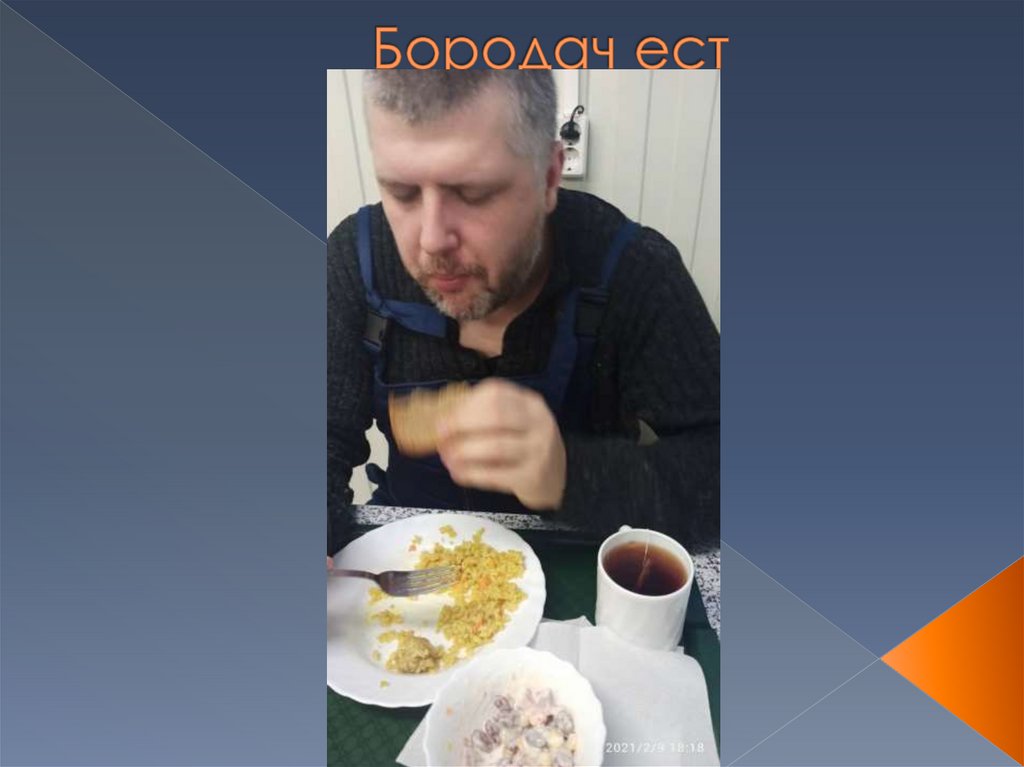 Бородач ест
