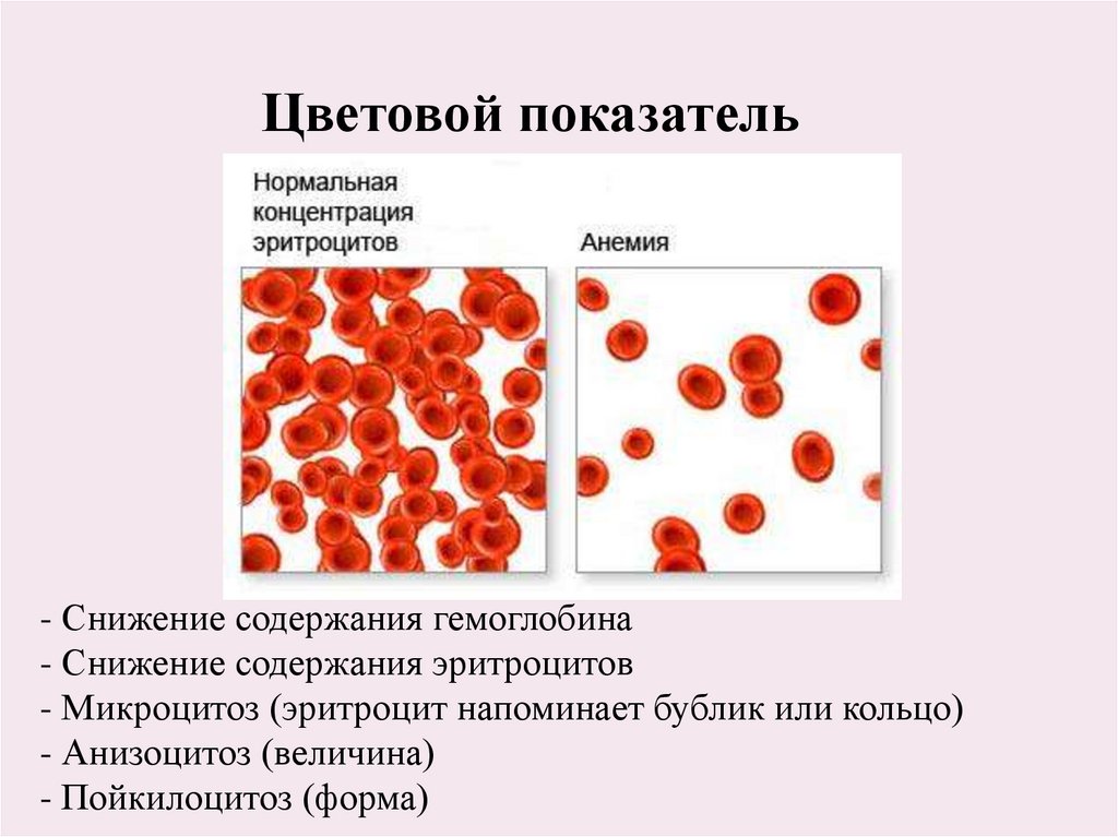 Анемия количество эритроцитов. Цветовой показатель крови эритроциты. Цветовой показатель эритроцитов норма. Функции цветного показателя эритроцитов. Снижение гемоглобина и цветового показателя анизоцитоз.