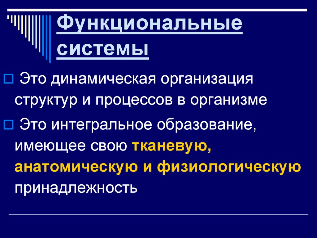 Динамические компании