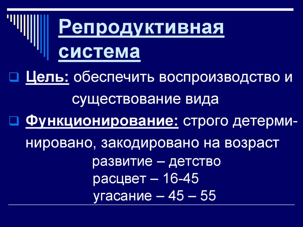 Выполняет репродуктивные функции. Функции репродуктивной системы. Строение и функции женской репродуктивной системы. Строение репродуктивной системы Омеги. Репродуктивную функцию выполняет структура.