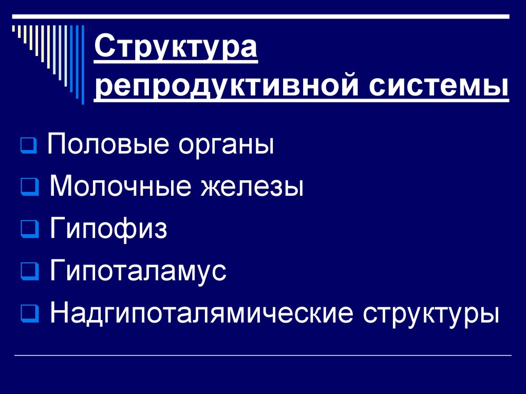 Строение и функции репродуктивной системы 8 класс презентация