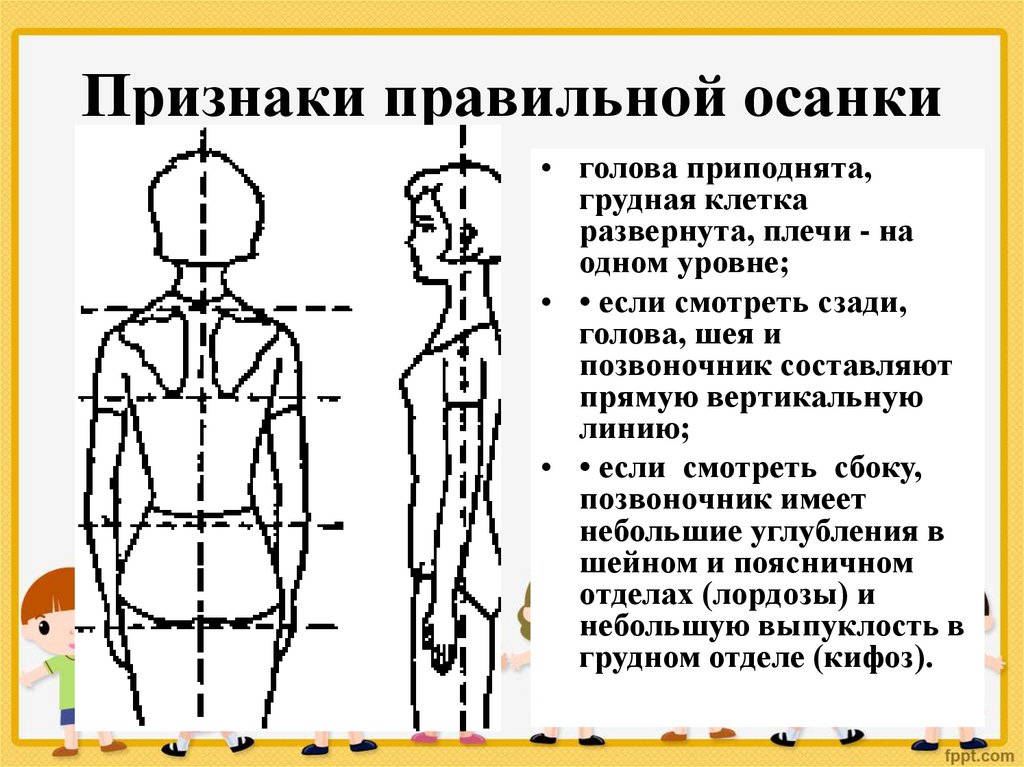 Что является признаком правильной осанки