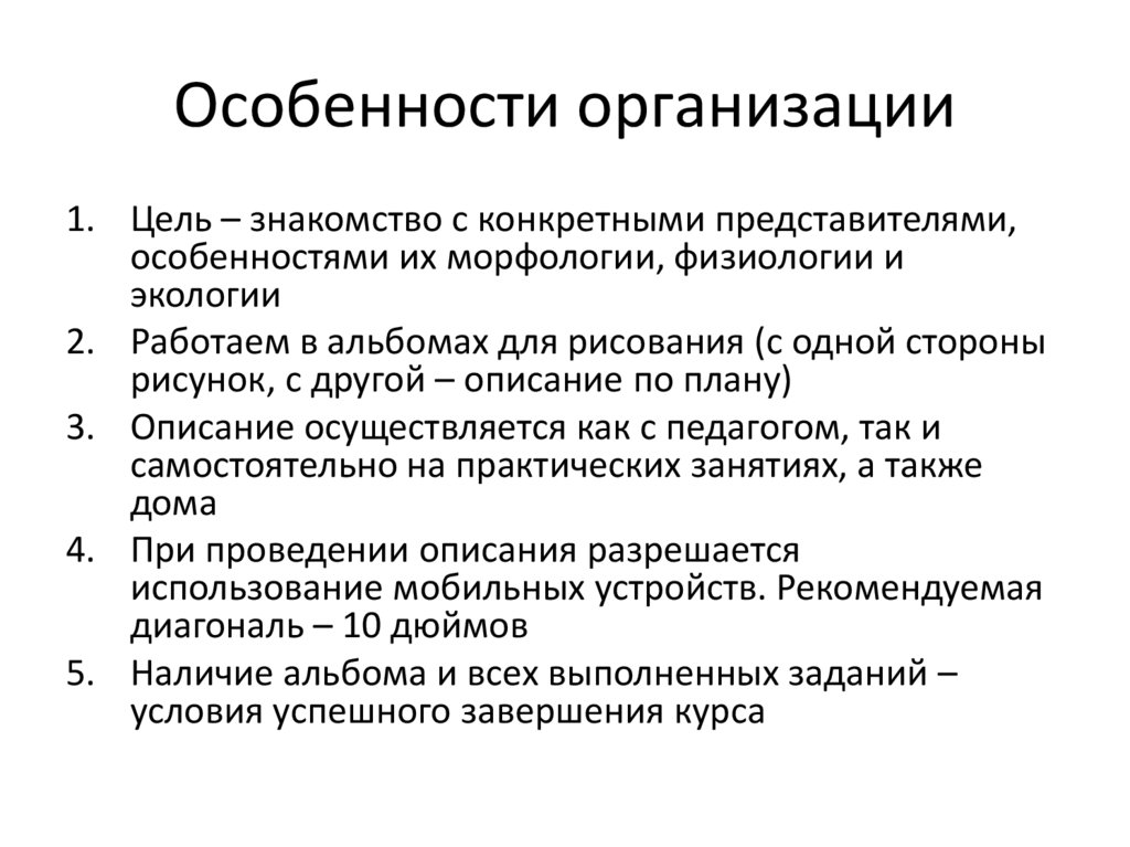 Особенности организации
