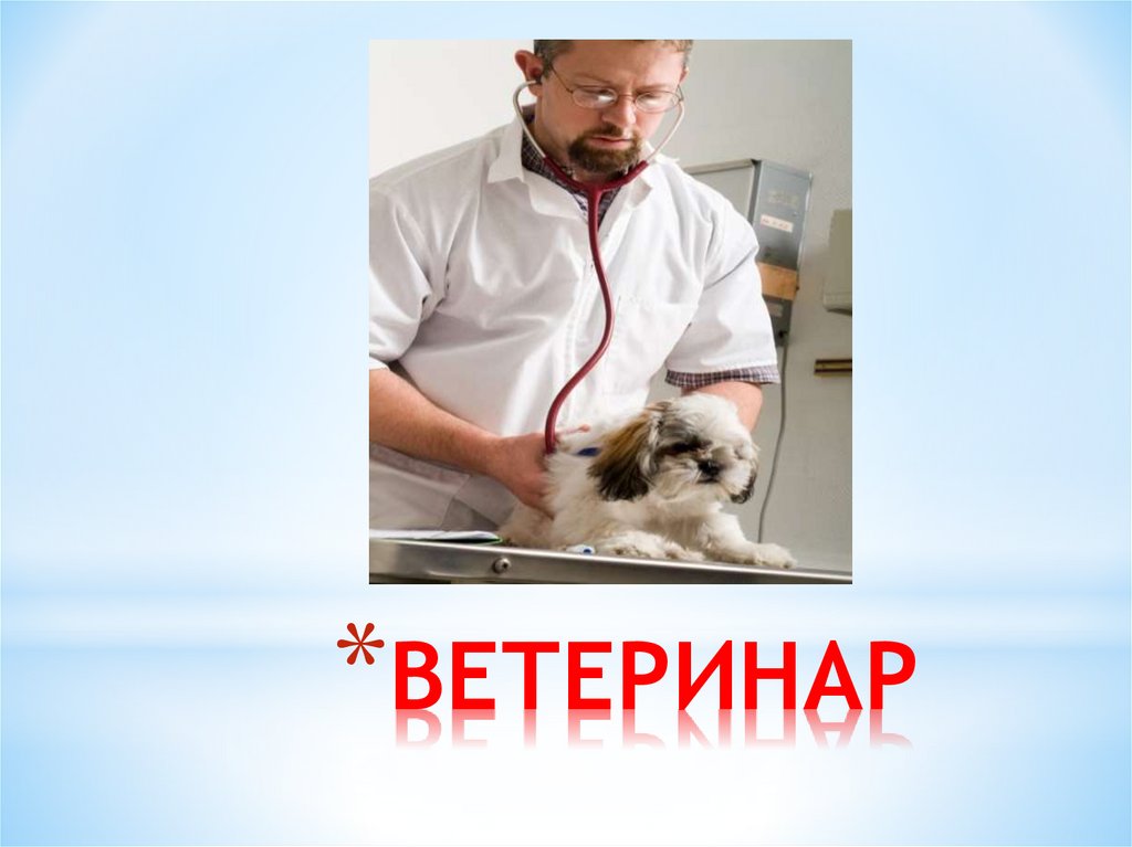 ВЕТЕРИНАР