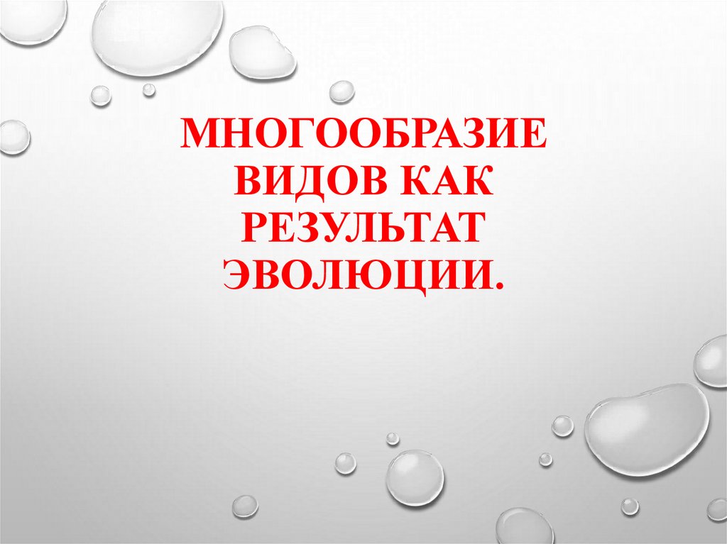 Многообразие видов как результат эволюции презентация