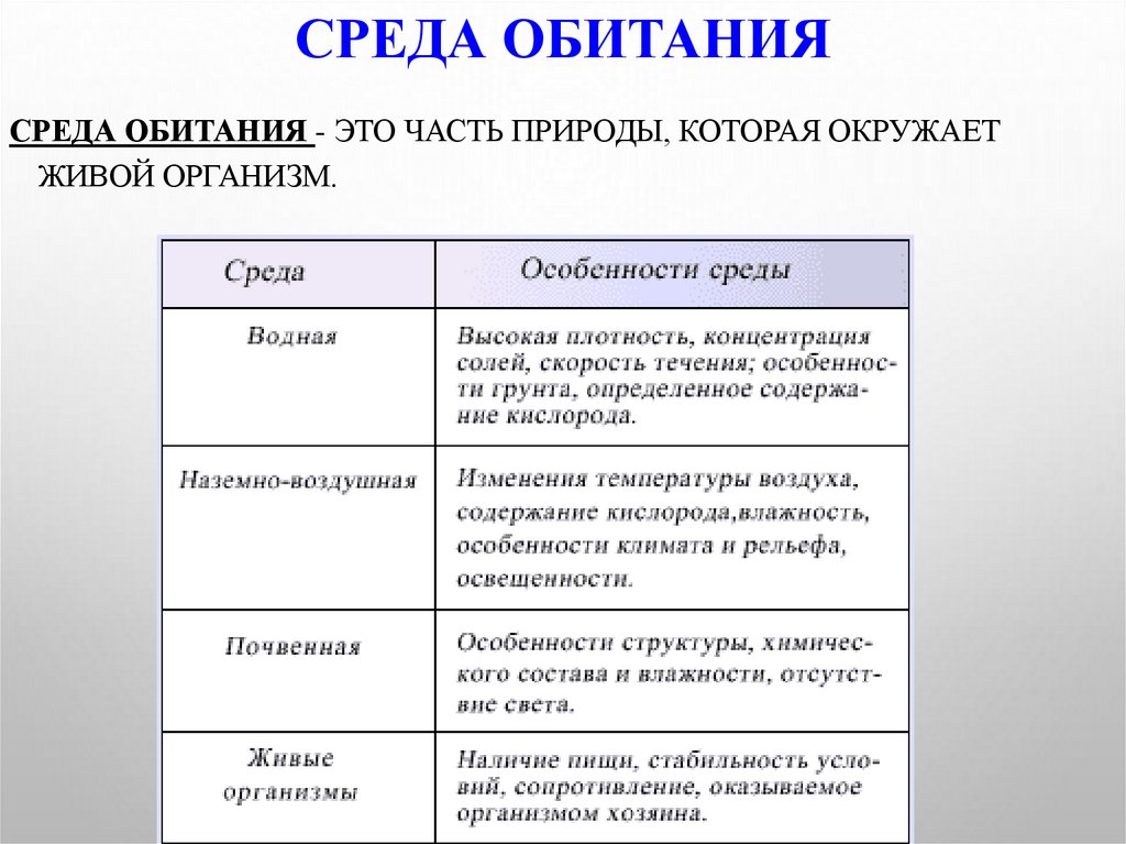 Усложнение строения животных многообразие видов как результат эволюции презентация