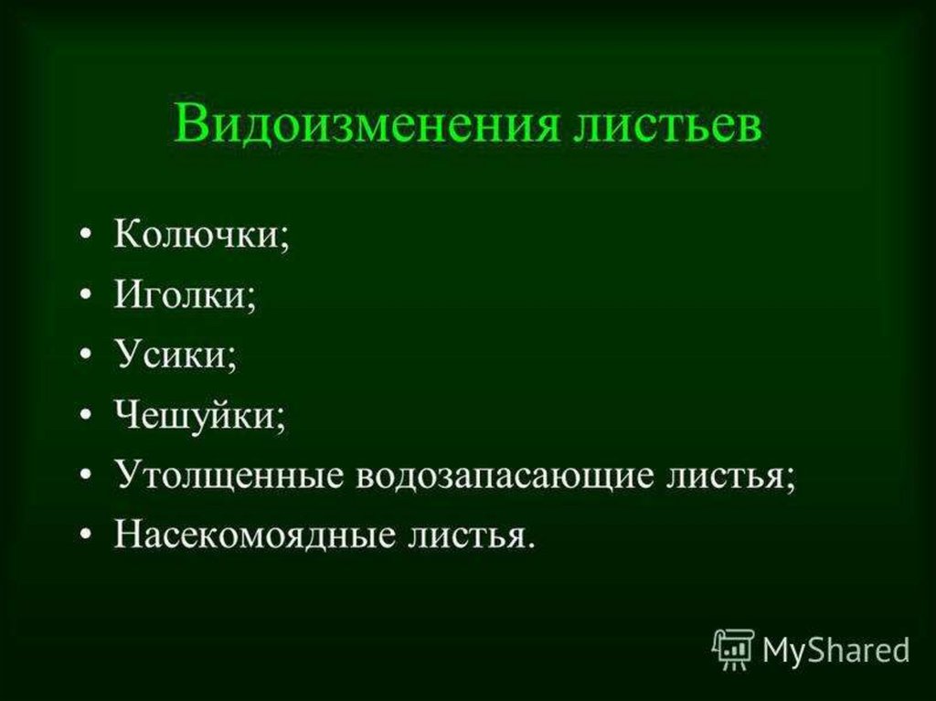 Видоизменение листьев 6 класс биология. Видоизменения листьев. Видоизменения листа таблица. Видоизмененные листья таблица. Видоизменение листа 6 класс.