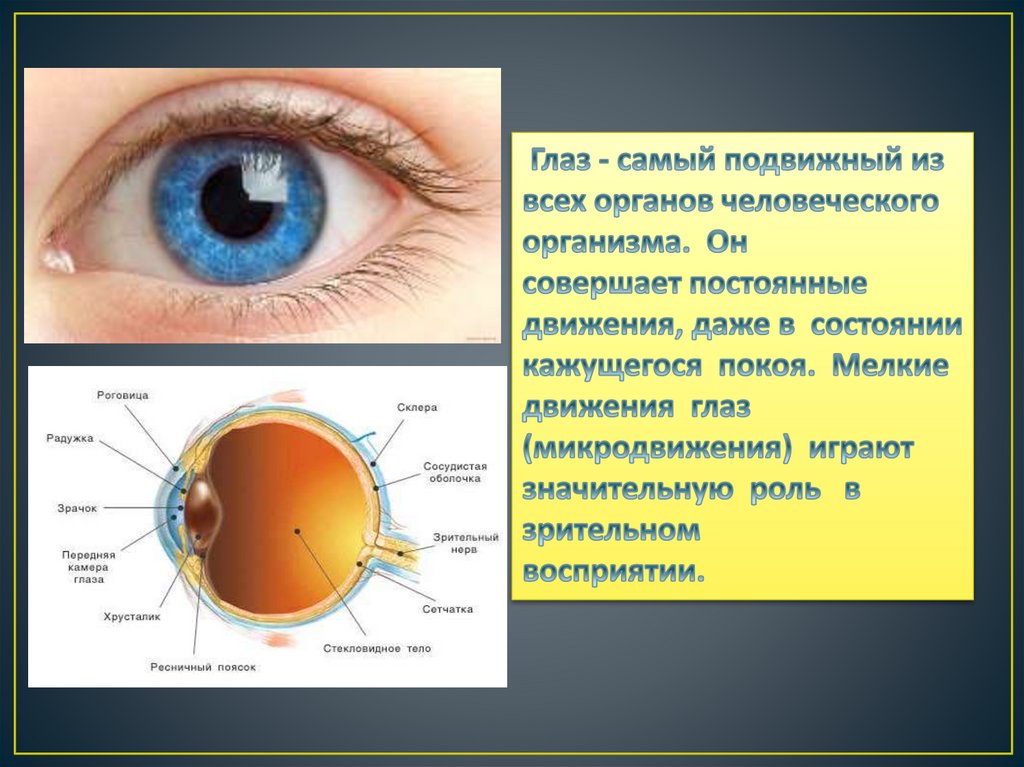 Признаки больных глаз. Поражение органов зрения. Нарушение органов зрения. Строение глаза и болезни глаз. Презентация заболевания глаз.