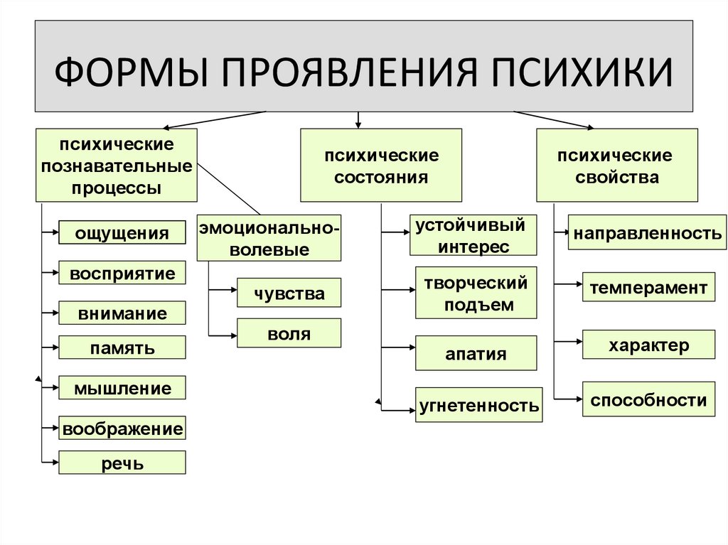 К психическим процессам относится