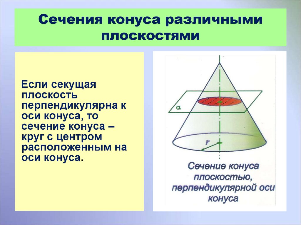 Периметр сечения конуса