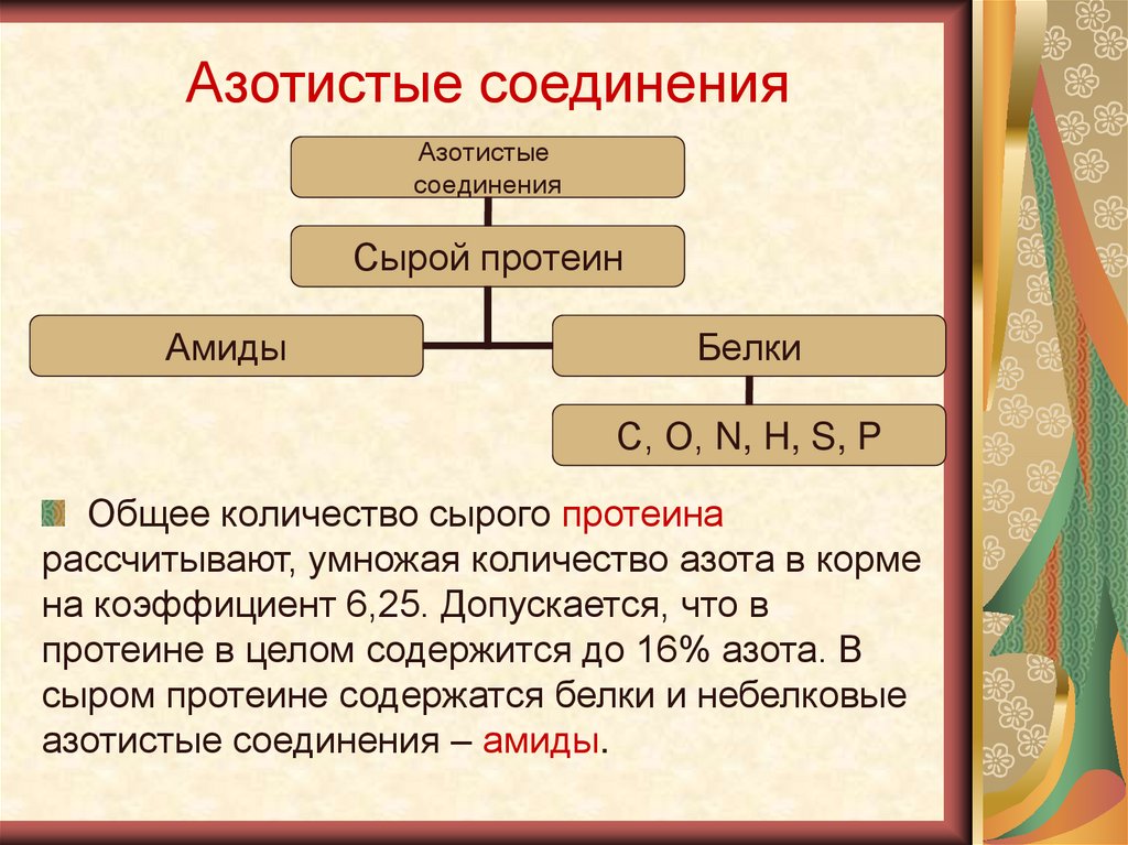 В целом содержится. Азотистые соединения. Азотистые кормовые вещества. Азотные соединения корма. Азотистые небелковые соединения в кормах.