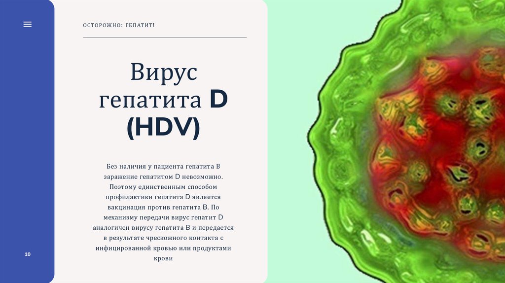 Осторожно гепатит презентация