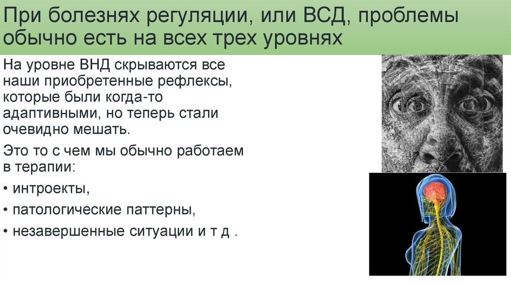 Всд на животных. Синдром вегетативной дистонии. Координация и регуляция жизнедеятельности у животных таблица.