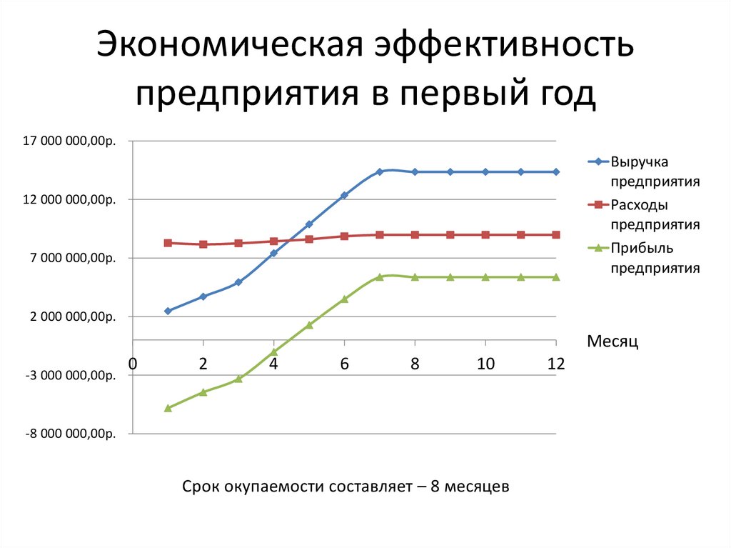 Экономическая эффективность предприятия в первый год