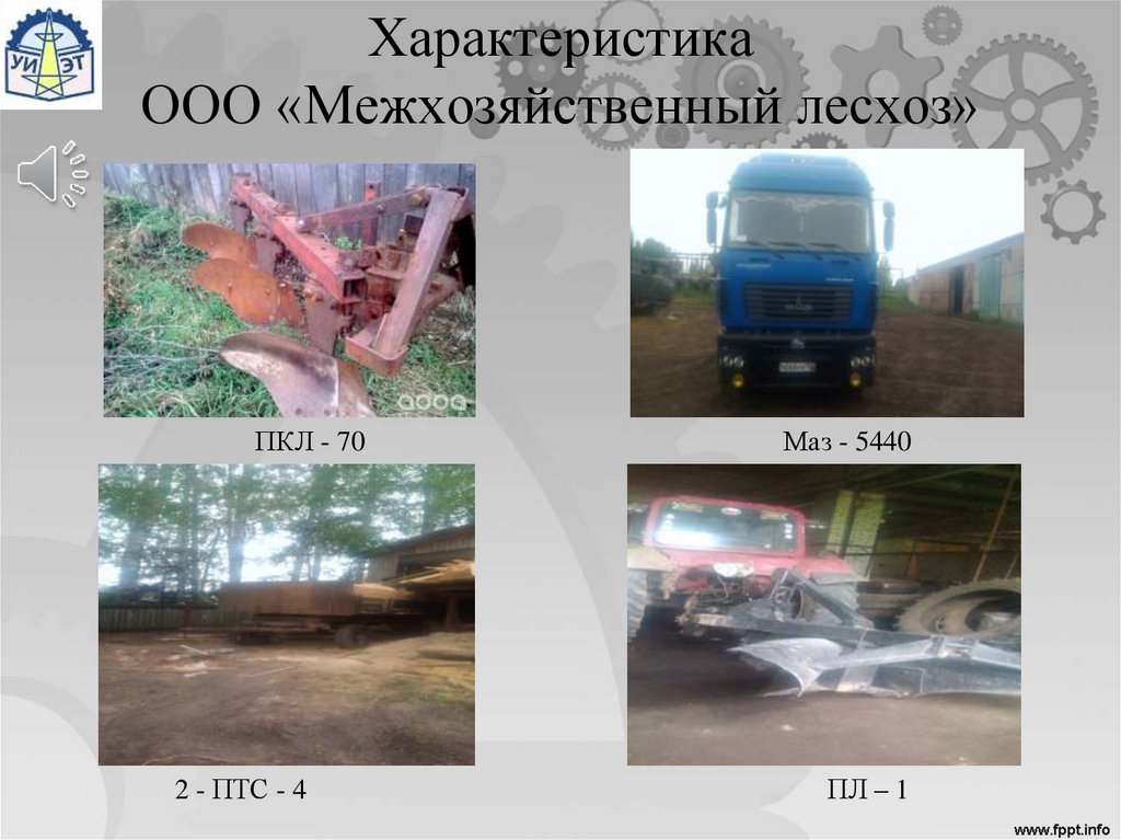 Характеристика ООО «Межхозяйственный лесхоз»