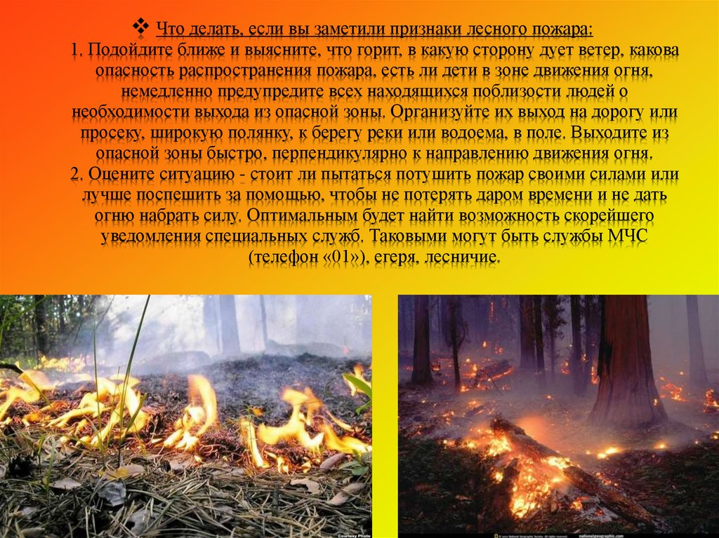 То и заметили признаки. Презентация на тему пожар в лесу. Презентация на тему Лесные пожары. Презентация на тему пожар. Опасность пожара в лесу.