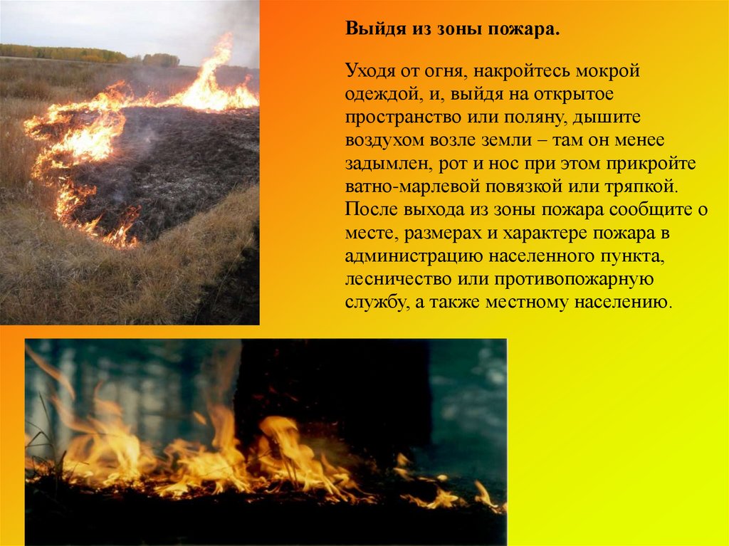 Чем лучше всего укрыться преодолевая зону огня. Пожары в лесах презентация. Презентация на тему пожар. Пожары презентация по ОБЖ. Пожар для презентации.