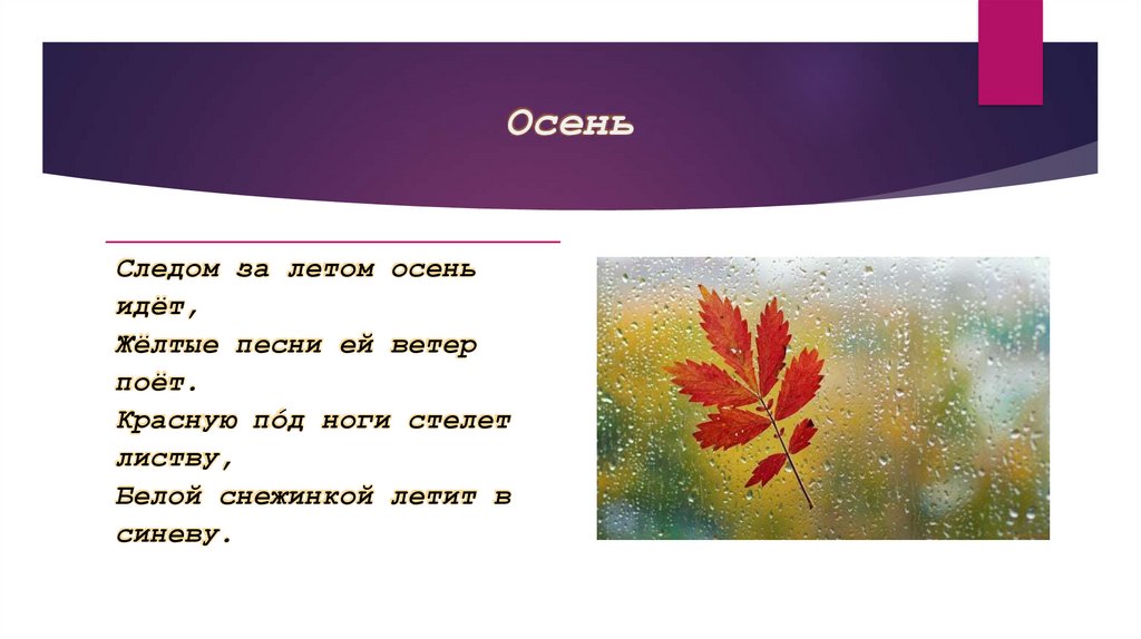 Осень