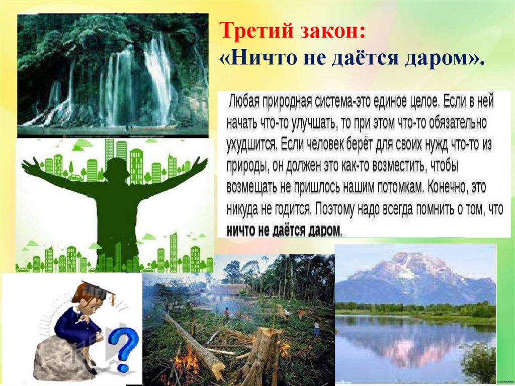 Естественные законы природы. Ничто не дается даром экология примеры. Закон ничто не дается даром. Ничто не дается даром примеры. Пример закона ничто не дается даром.