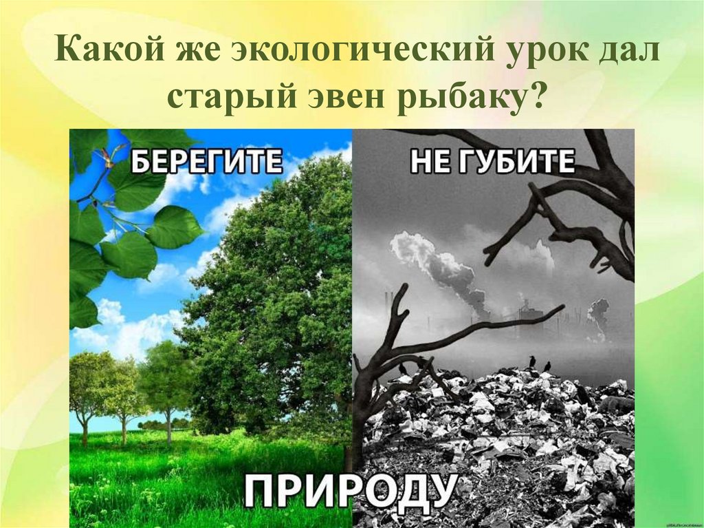 Внимательно посмотрите на фото какую экологическую проблему вы здесь видите