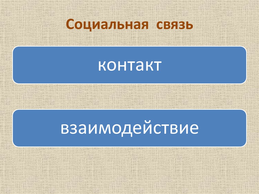 Социальная связь