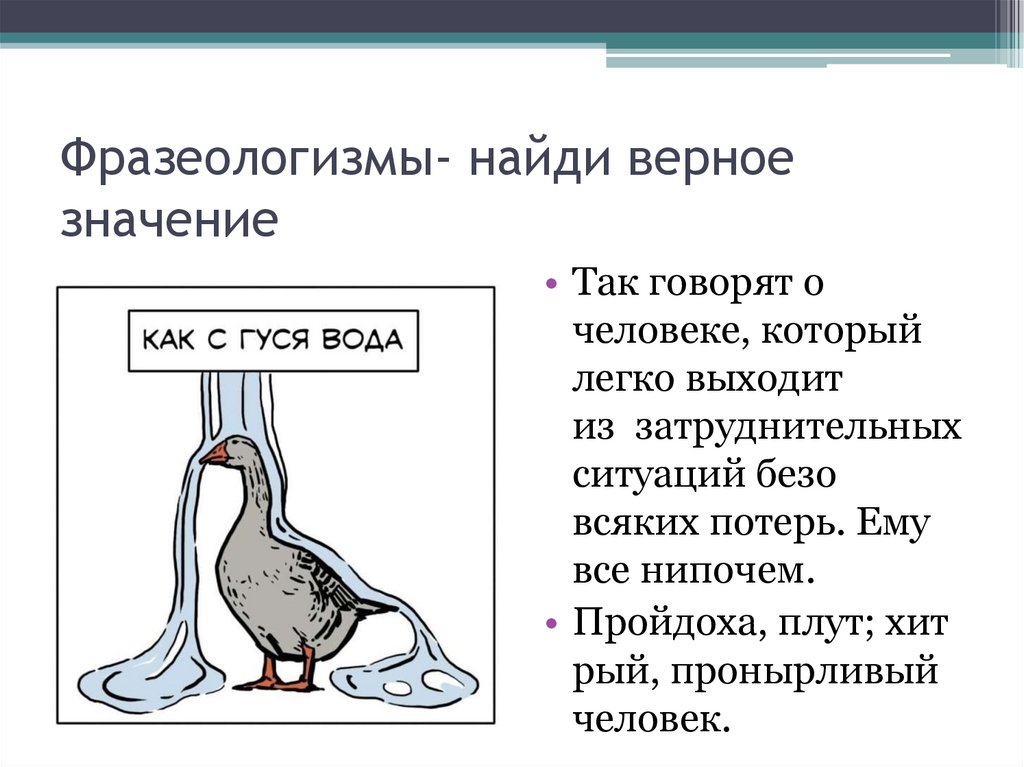 С гуся вода песня. Что значит фразеологизм как с гуся вода. Как с гуся вода значение фразеологизма одним словом. Как с гуся вода фразеологизм. Рисунок к фразеологизму как с гуся вода.