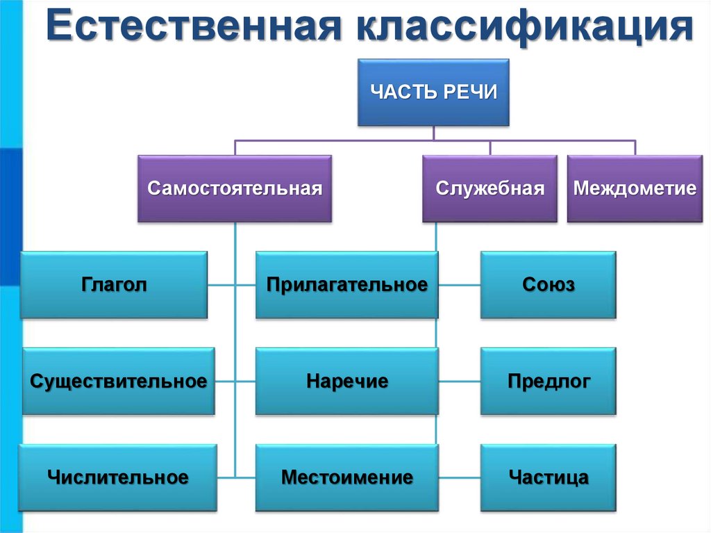 Классификация по презентация по информатике